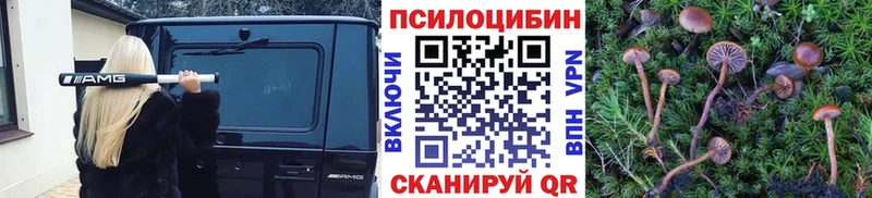 Псилоцибиновые грибы мухоморы Лермонтов